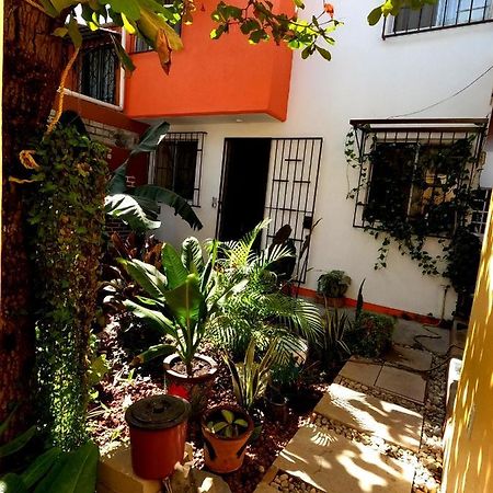 Casa Lomas Del Marinero Internet Starlink Sin Garaje Apartment Puerto Escondido  Exterior foto