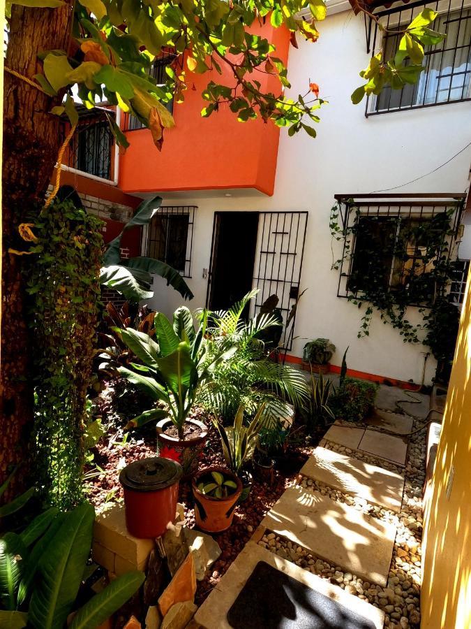 Casa Lomas Del Marinero Internet Starlink Sin Garaje Apartment Puerto Escondido  Exterior foto