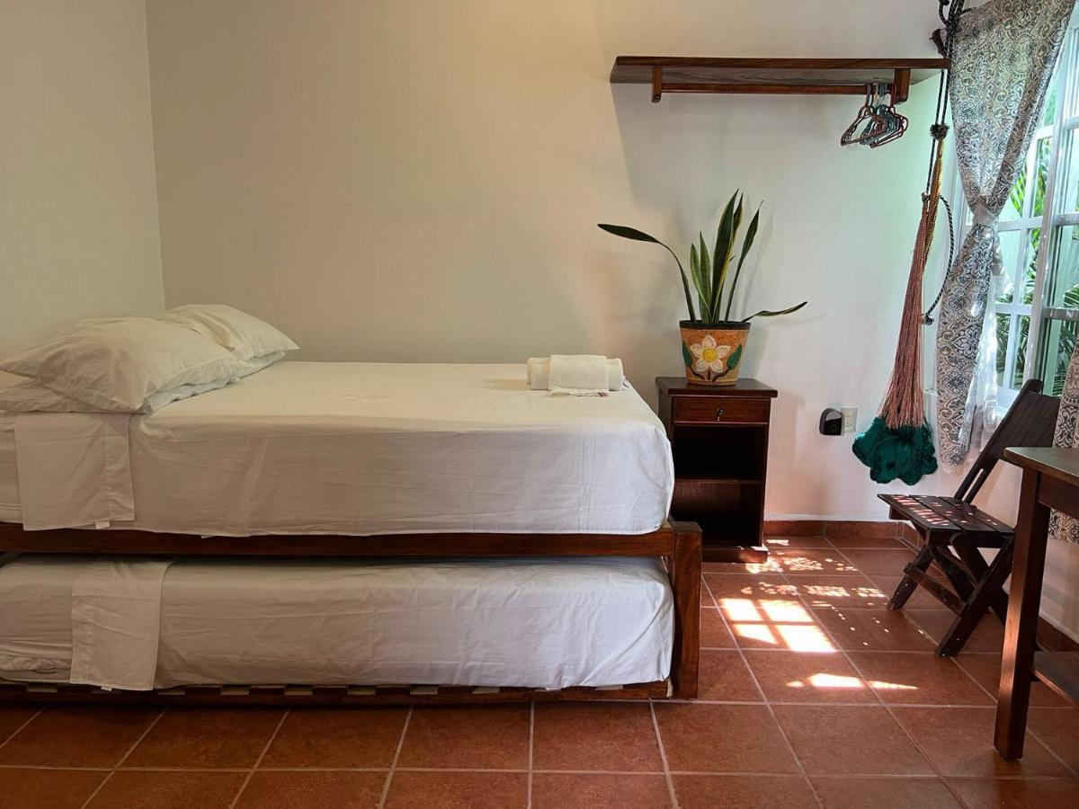 Casa Lomas Del Marinero Internet Starlink Sin Garaje Apartment Puerto Escondido  Exterior foto